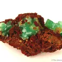 Cuprian Adamite - image 1