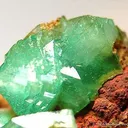 Cuprian Adamite - image 4