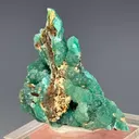 Cuprian Adamite - image 2
