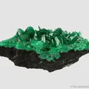 Cuprian Adamite - image 2