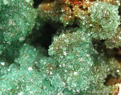 Cuprian Adamite - image 2