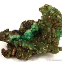 Cuprian Adamite - image 1