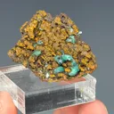 Cuprian Adamite - image 3