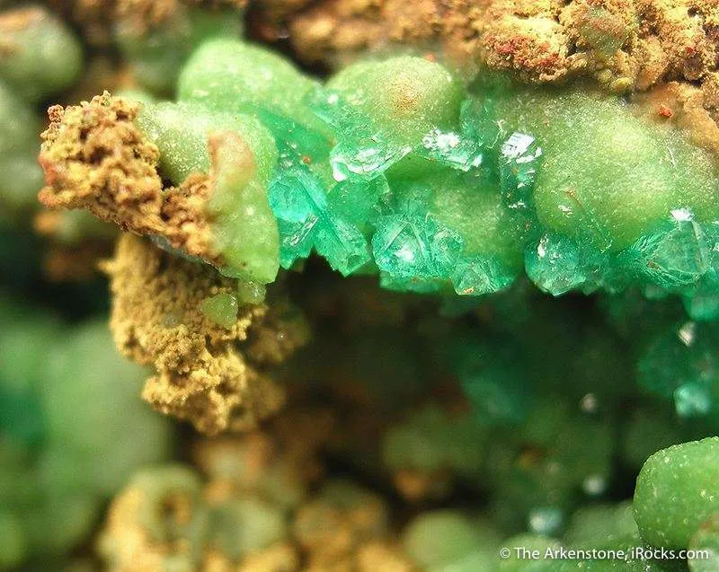 Cuprian Adamite - image 2