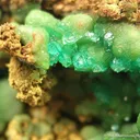 Cuprian Adamite - image 2