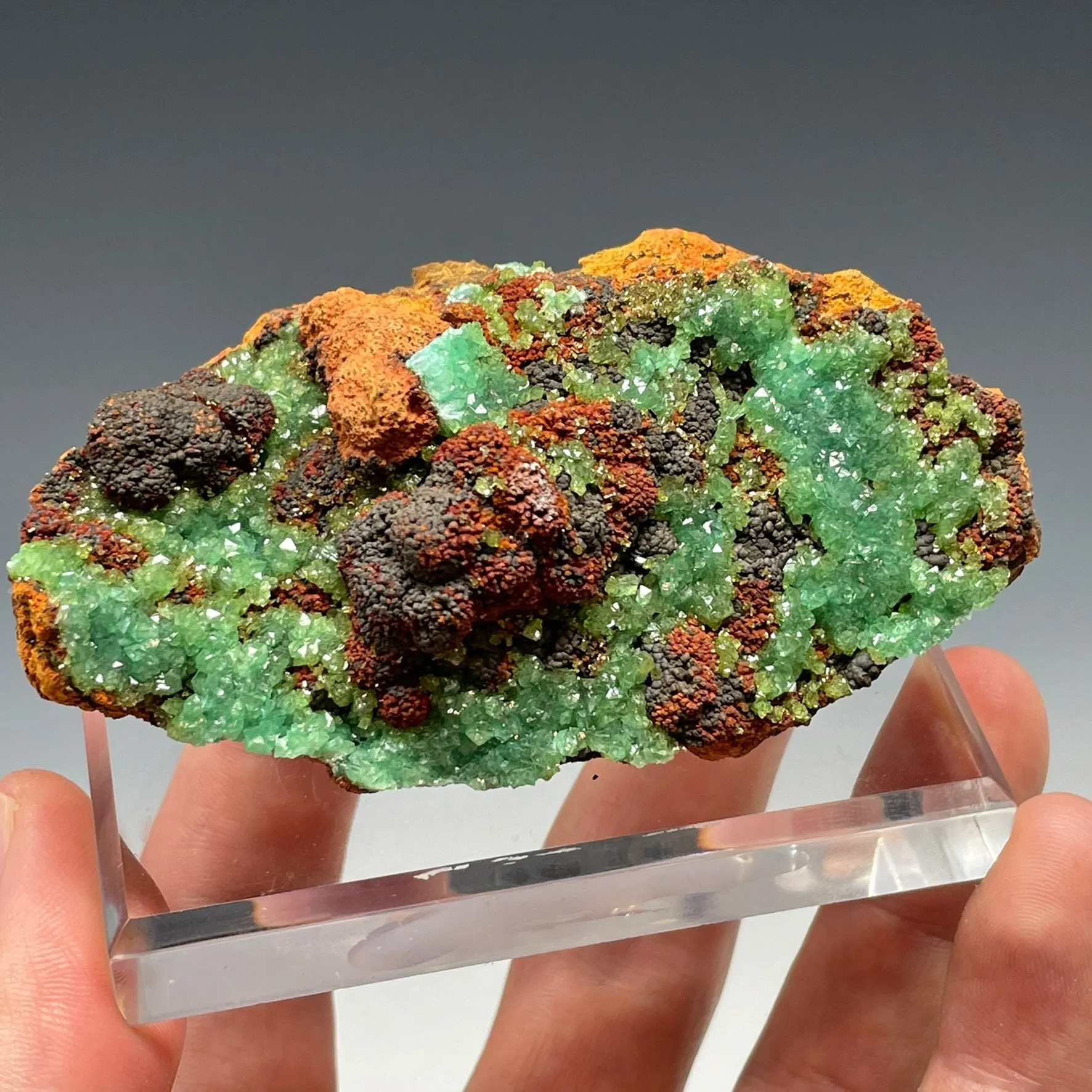 Cuprian Adamite - image 3