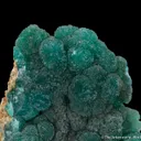 Cuprian Adamite - image 1