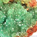Cuprian Adamite - image 4