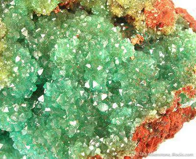 Cuprian Adamite - image 4