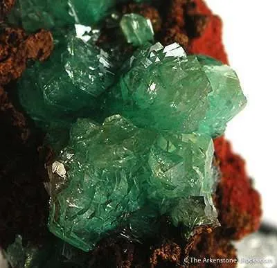 Cuprian Adamite - image 2
