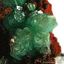 Cuprian Adamite - image 2