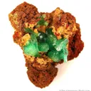 Cuprian Adamite - image 1