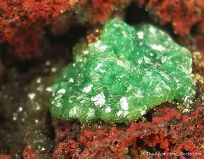 Cuprian Adamite - image 2