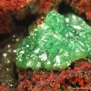Cuprian Adamite - image 2