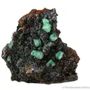 Cuprian Adamite - image 1