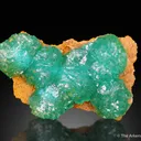 Cuprian Adamite - image 4