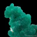 Cuprian Adamite - image 4