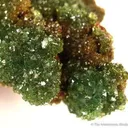 Cuprian Adamite - image 2