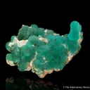 Cuprian Adamite - image 1