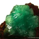 Cuprian Adamite - image 3