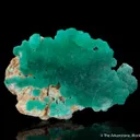 Cuprian Adamite - image 1