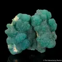 Cuprian Adamite - image 1