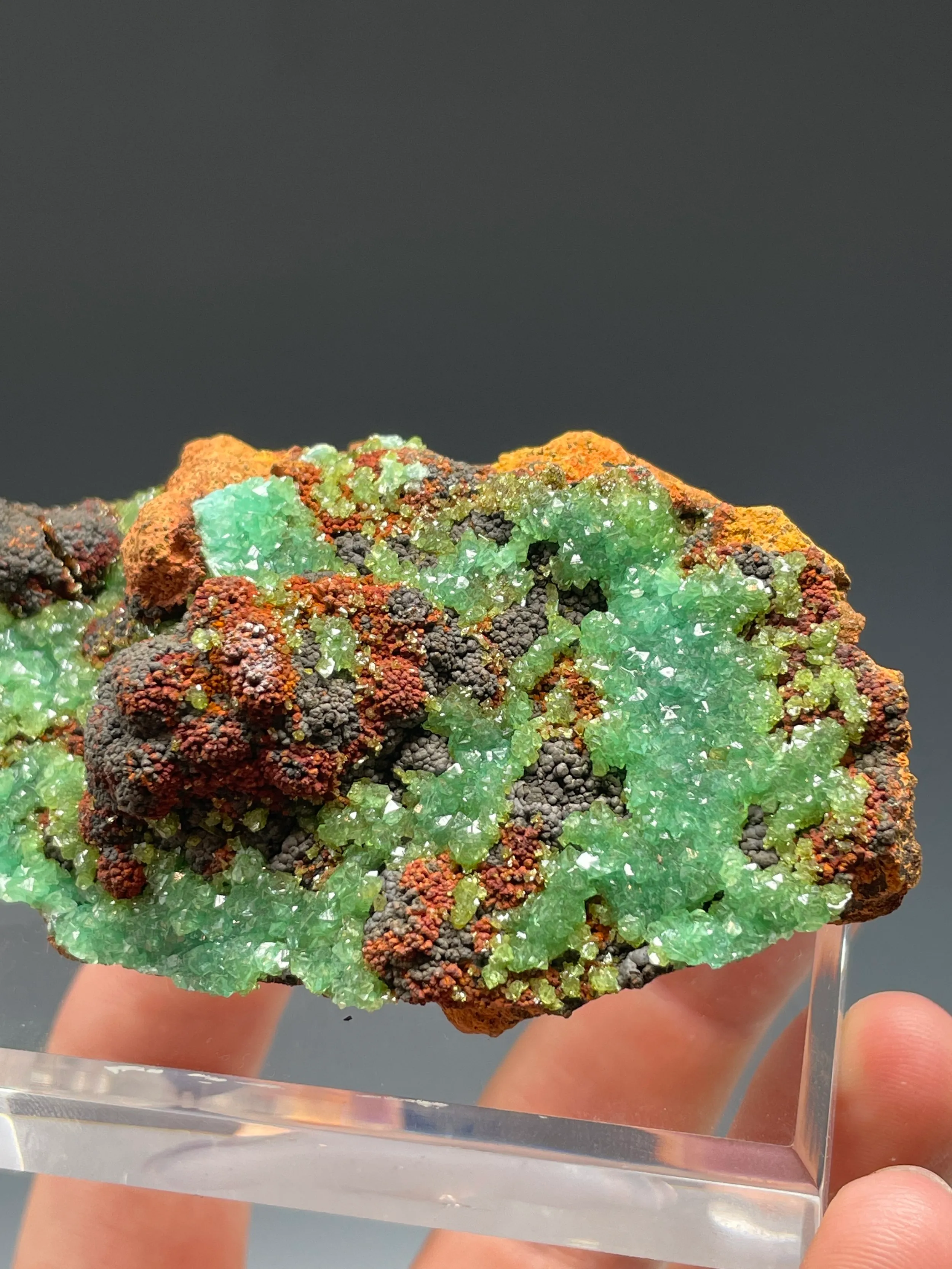 Cuprian Adamite - image 5
