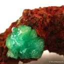 Cuprian Adamite - image 2