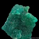 Cuprian Adamite - image 1