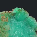 Cuprian Adamite (fluorescent) - image 2