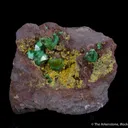 Cuprian Adamite on Tsumcorite - image 2