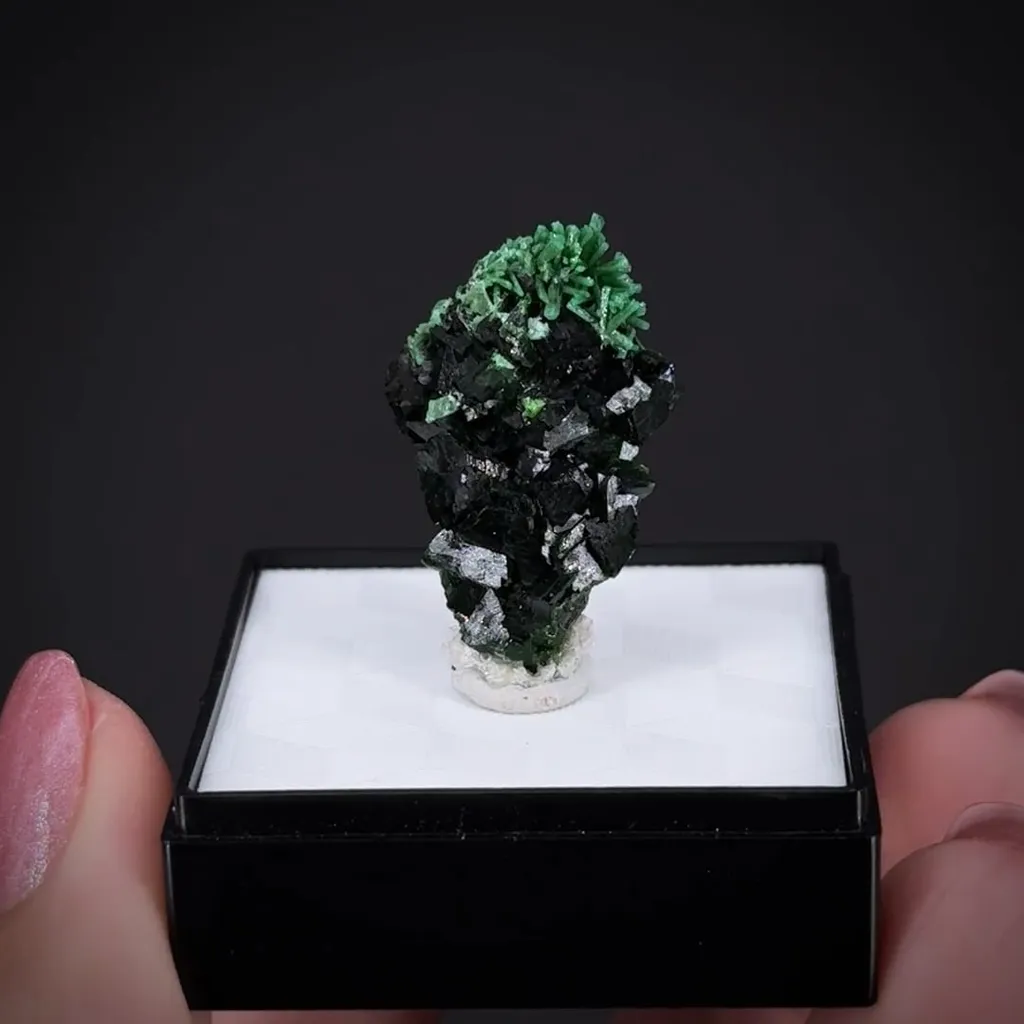 Cuprian Adamite on Zincolivenite - image 2