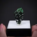 Cuprian Adamite on Zincolivenite - image 2