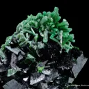 Cuprian Adamite on Zincolivenite - image 1