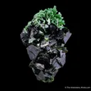 Cuprian Adamite on Zincolivenite - image 4