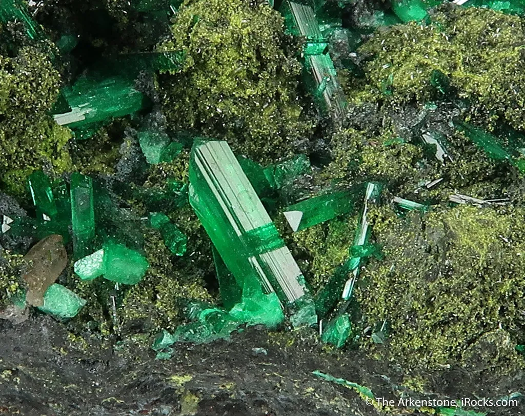 Cuprian Adamite - unusual elongated gem xls image
