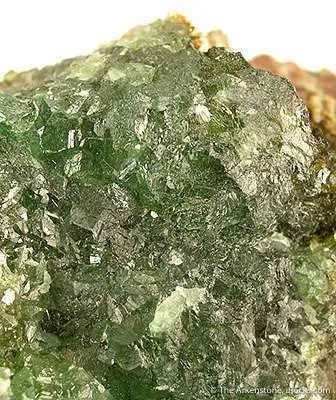 Cuprian Powellite - image 2