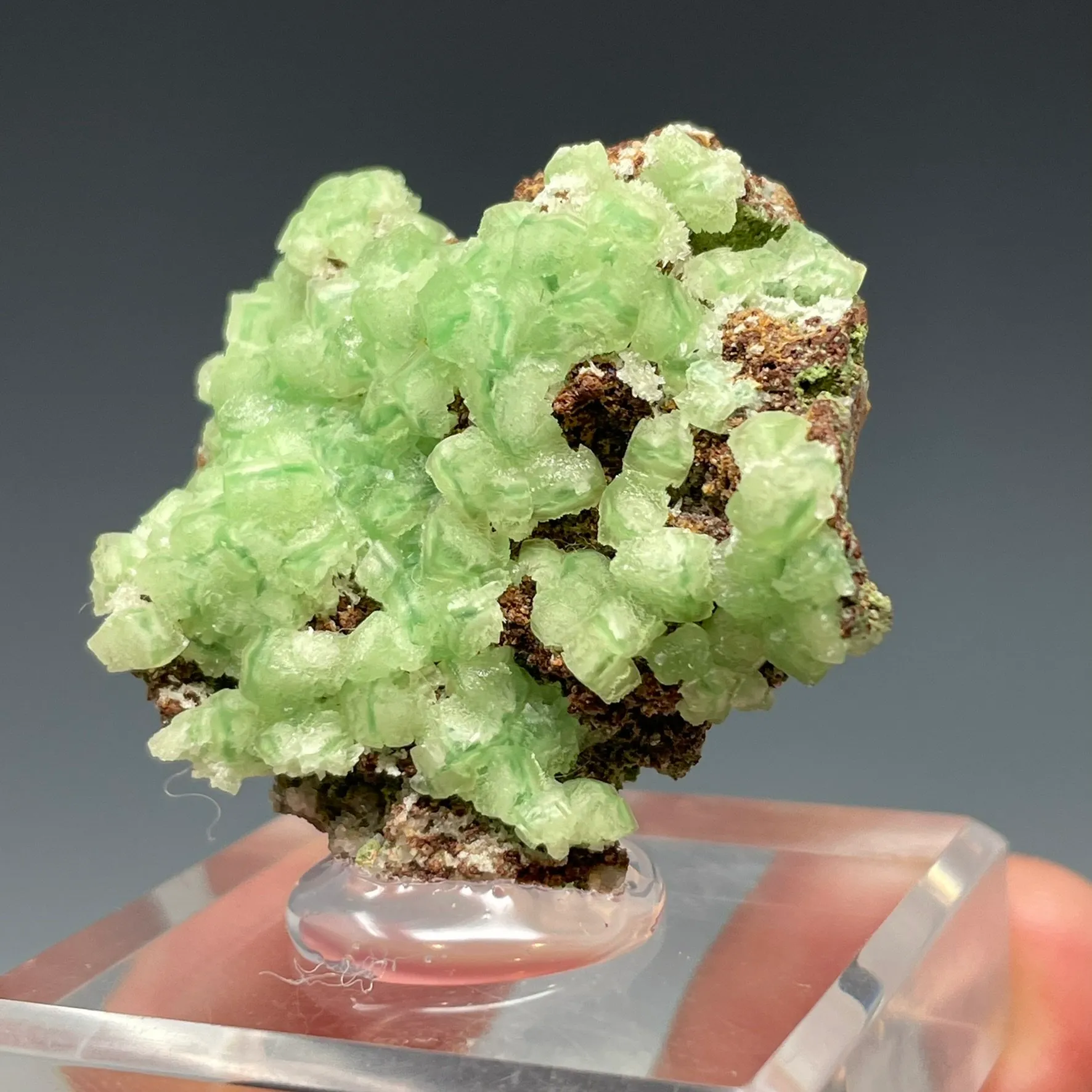 Cuprian Smithsonite - image 3
