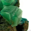 Cuprian Smithsonite - image 2