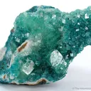 Cuprian Smithsonite on Rosasite - image 1