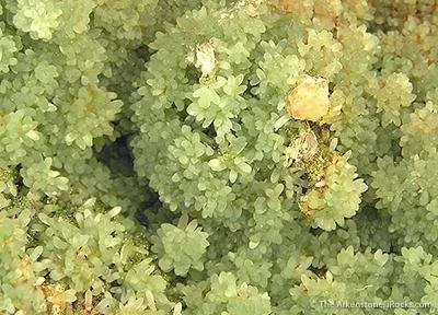 Cuprian Smithsonite With Copper - image 2