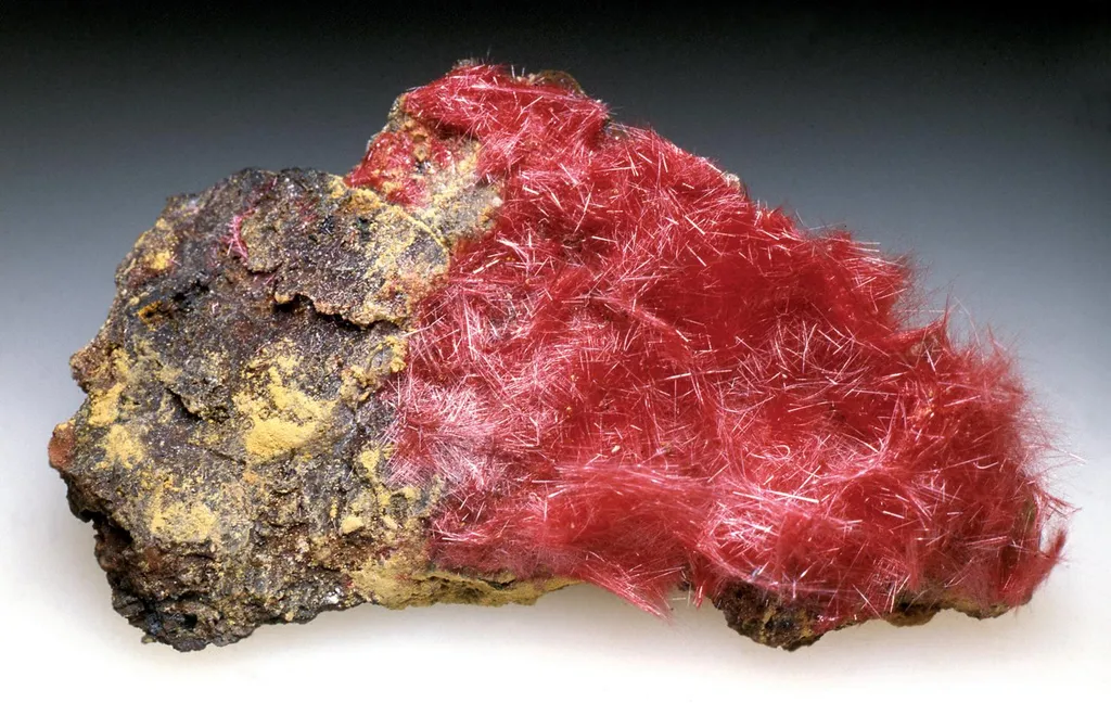 Cuprite (Chalcotrichite) image