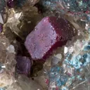 Cuprite (Cubic) in Quartz Cast With Plancheite - image 2