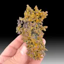 Cuprite from Oumjrane, Tinghir Province, Drâa-Tafilalet Region, Morocco - image 1