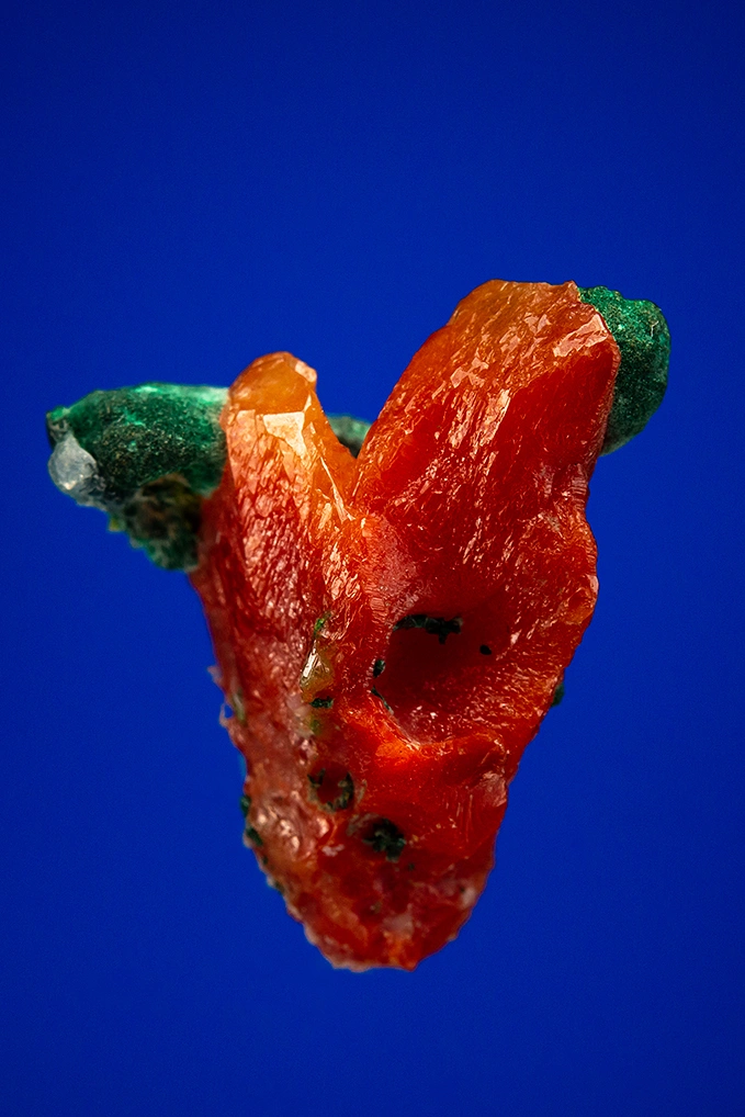 Cuprite from Tsumeb, Oshikoto Region, Namibia - image 2