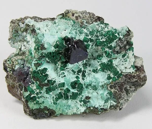 Cuprite, Malachite, Chrysocolla image