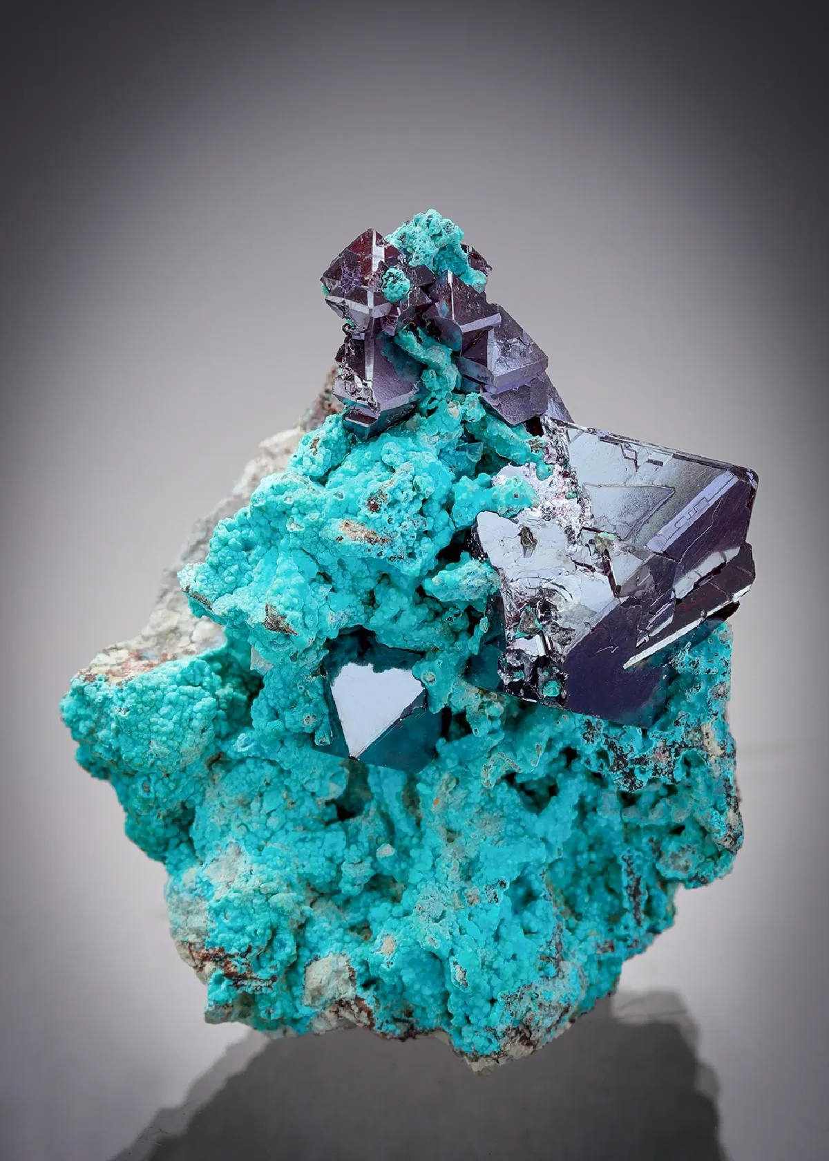 Cuprite on Chrysocolla - image 1