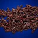 Cuprite on Copper - image 4