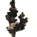 Cuprite on Copper - image 1