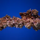 Cuprite on Copper - image 5
